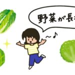 葉野菜の保存方法（アイキャッチ画像）