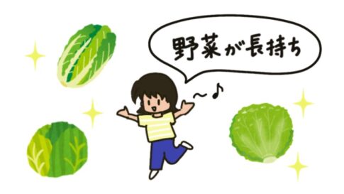 葉野菜の保存方法（アイキャッチ画像）